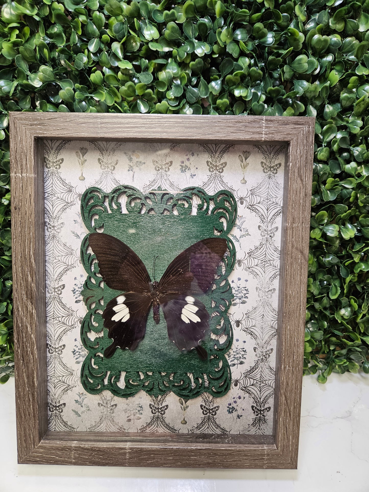 GREY WASH 8X10 GREEN FRAMED BUTTERFLY