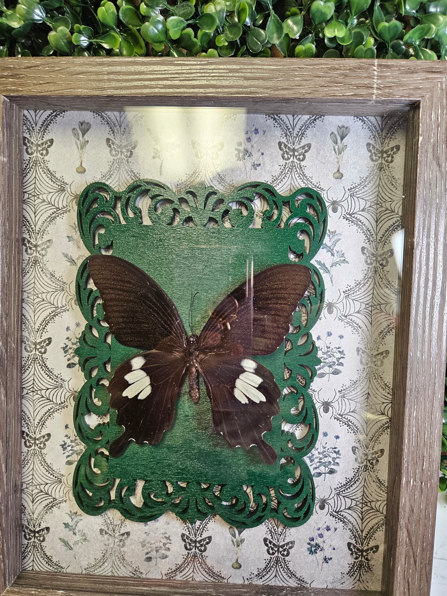 GREY WASH 8X10 GREEN FRAMED BUTTERFLY