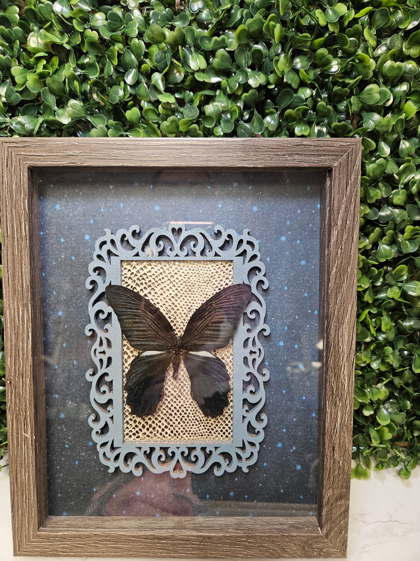 GREY WASH 8X10 BLUE FRAMED BUTTERFLY