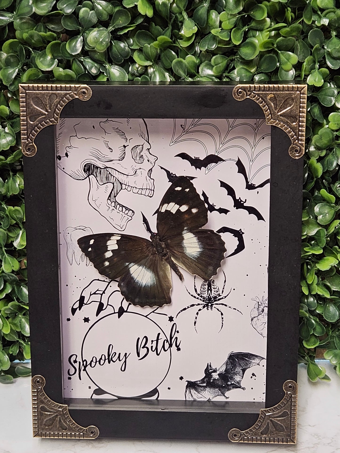 Black framed SPOOKY BITCH butterfly
