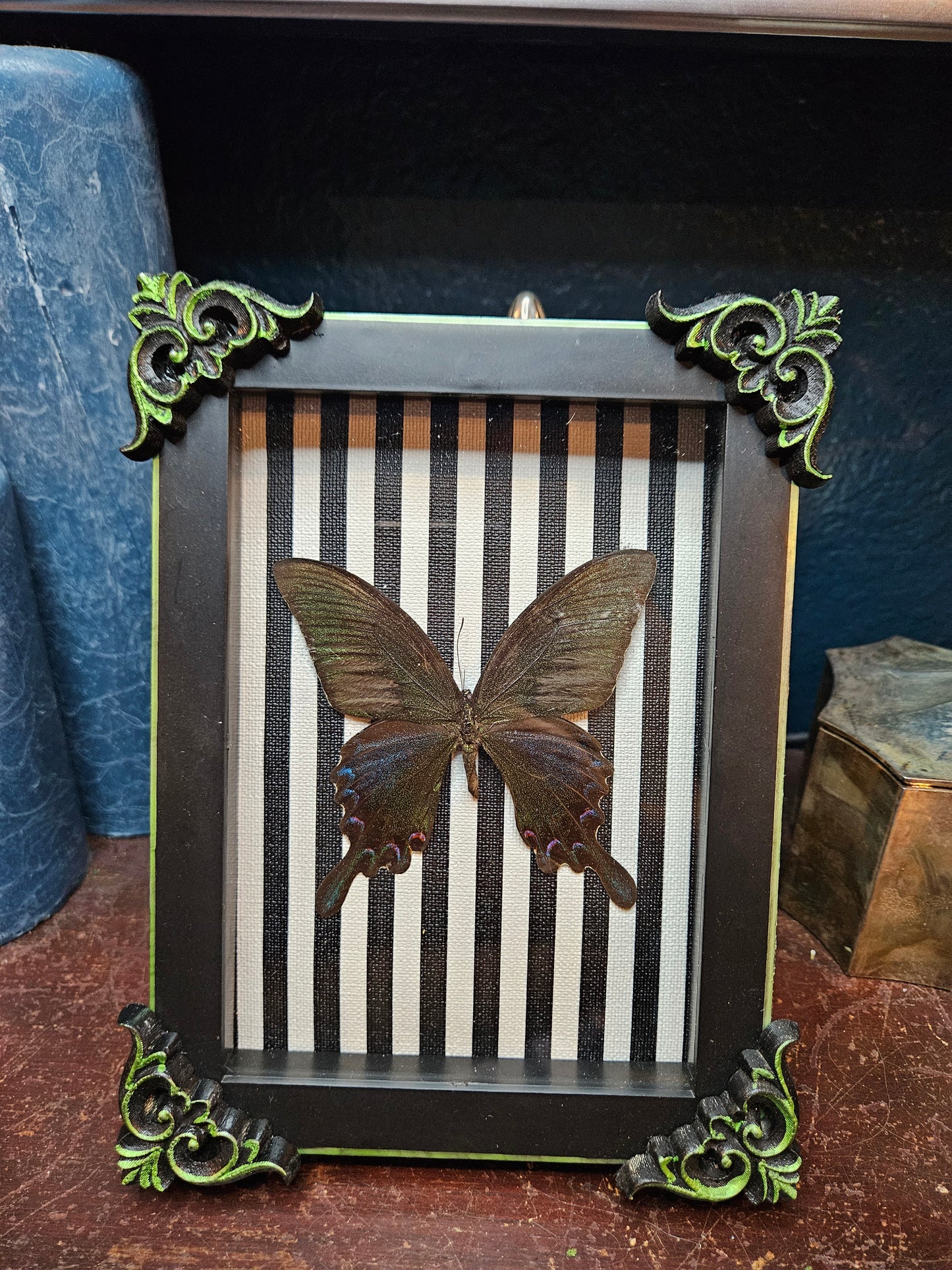 Green trik & black & white stripes butterfly frame