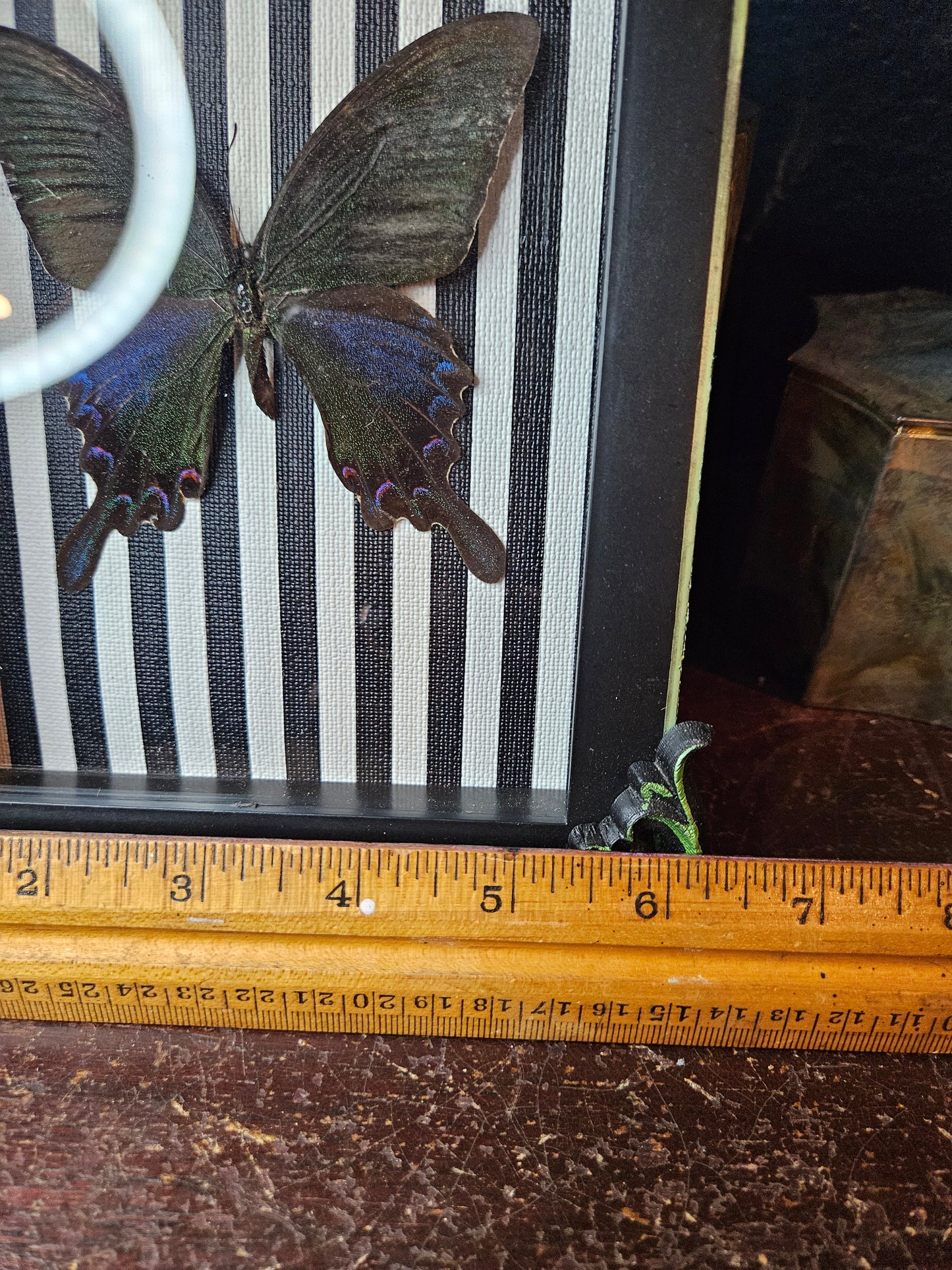Green trik & black & white stripes butterfly frame