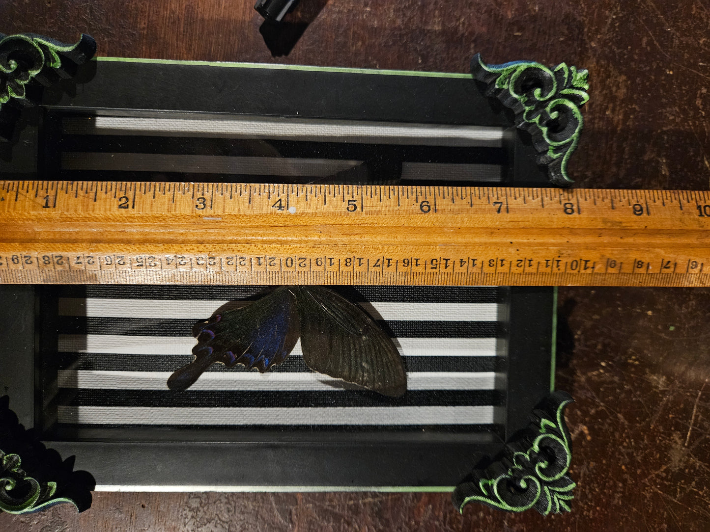 Green trik & black & white stripes butterfly frame