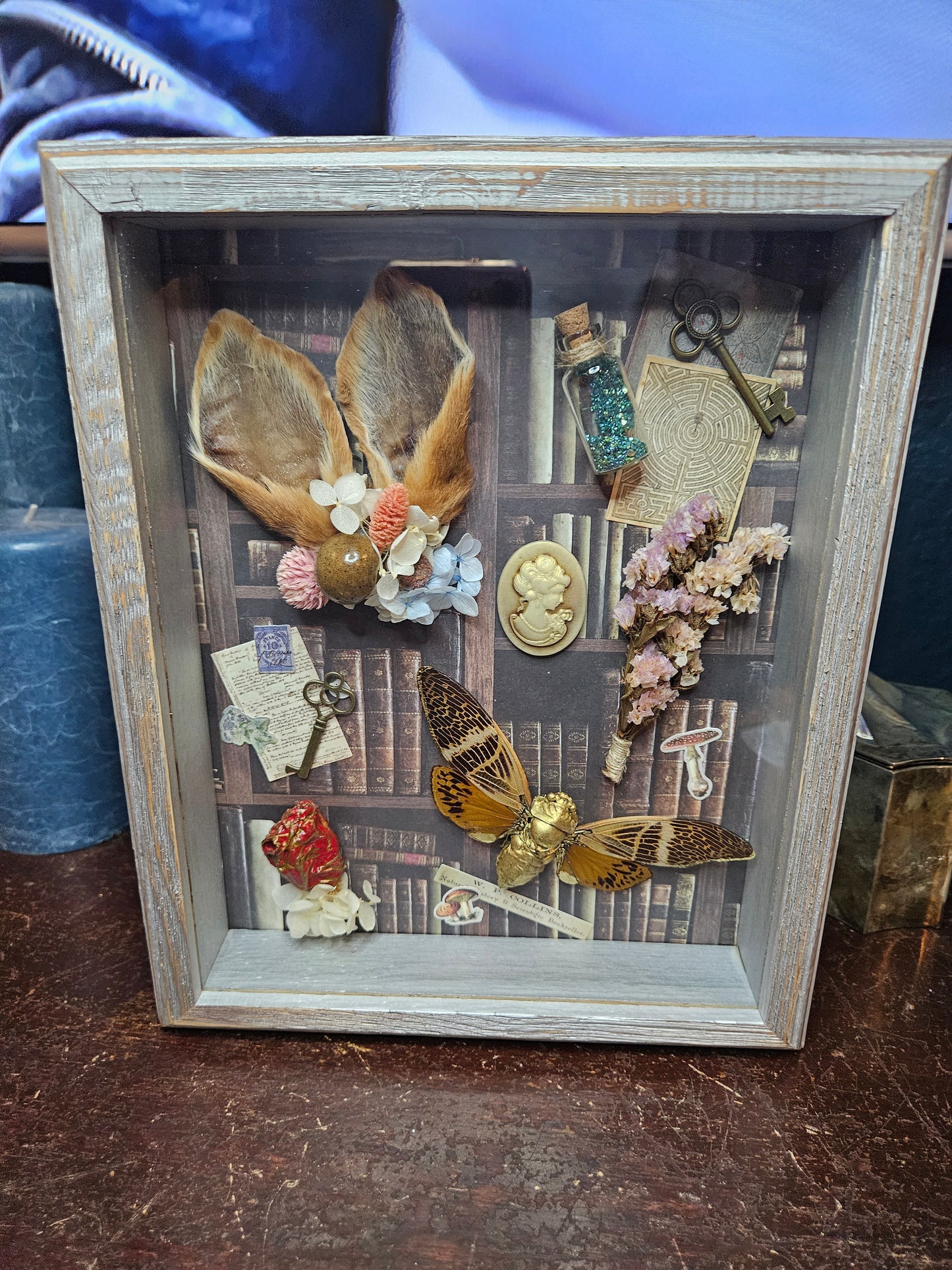 Alice in wonderland inspired shadow box - rabbit ears - cicada