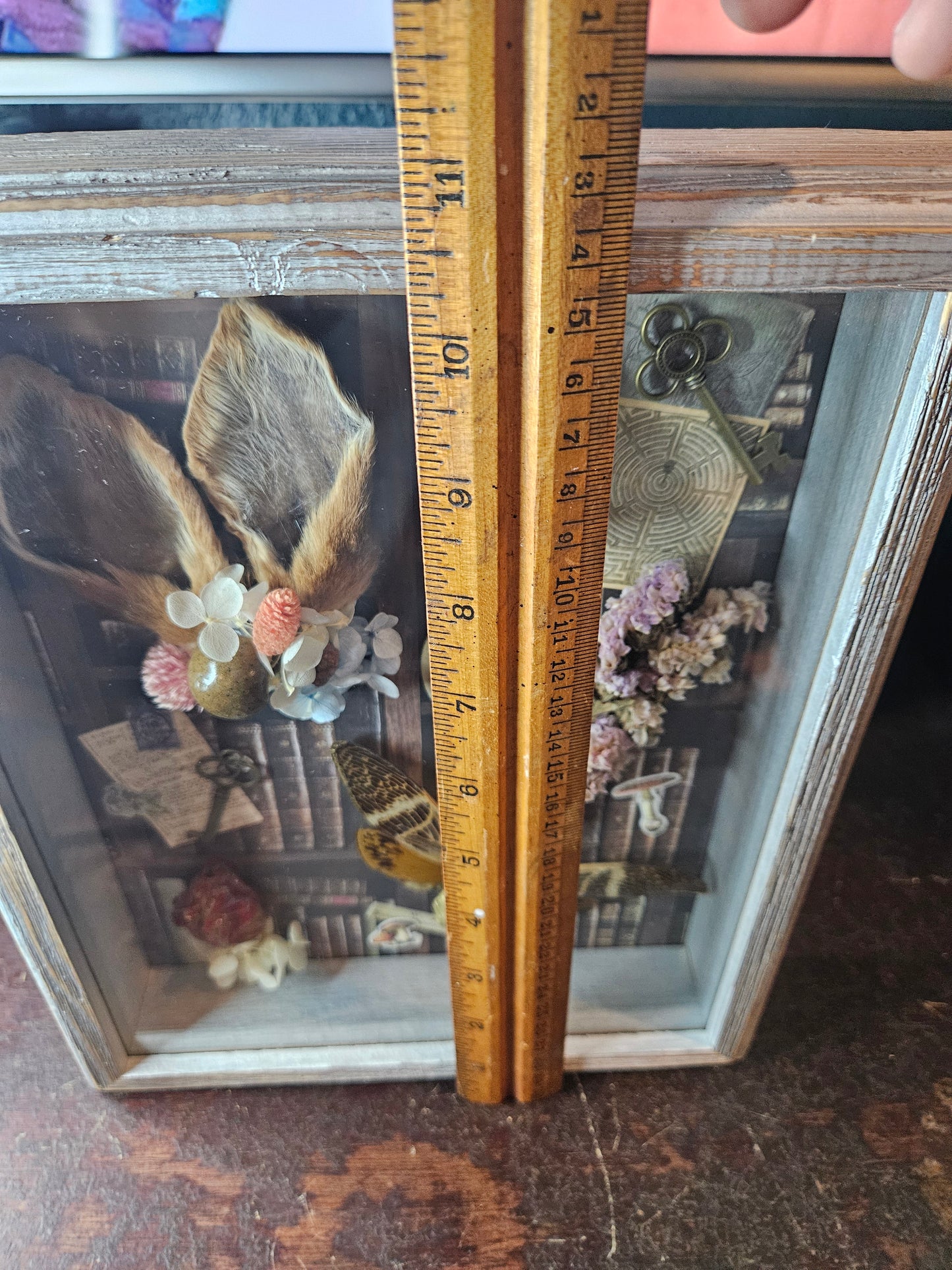 Alice in wonderland inspired shadow box - rabbit ears - cicada