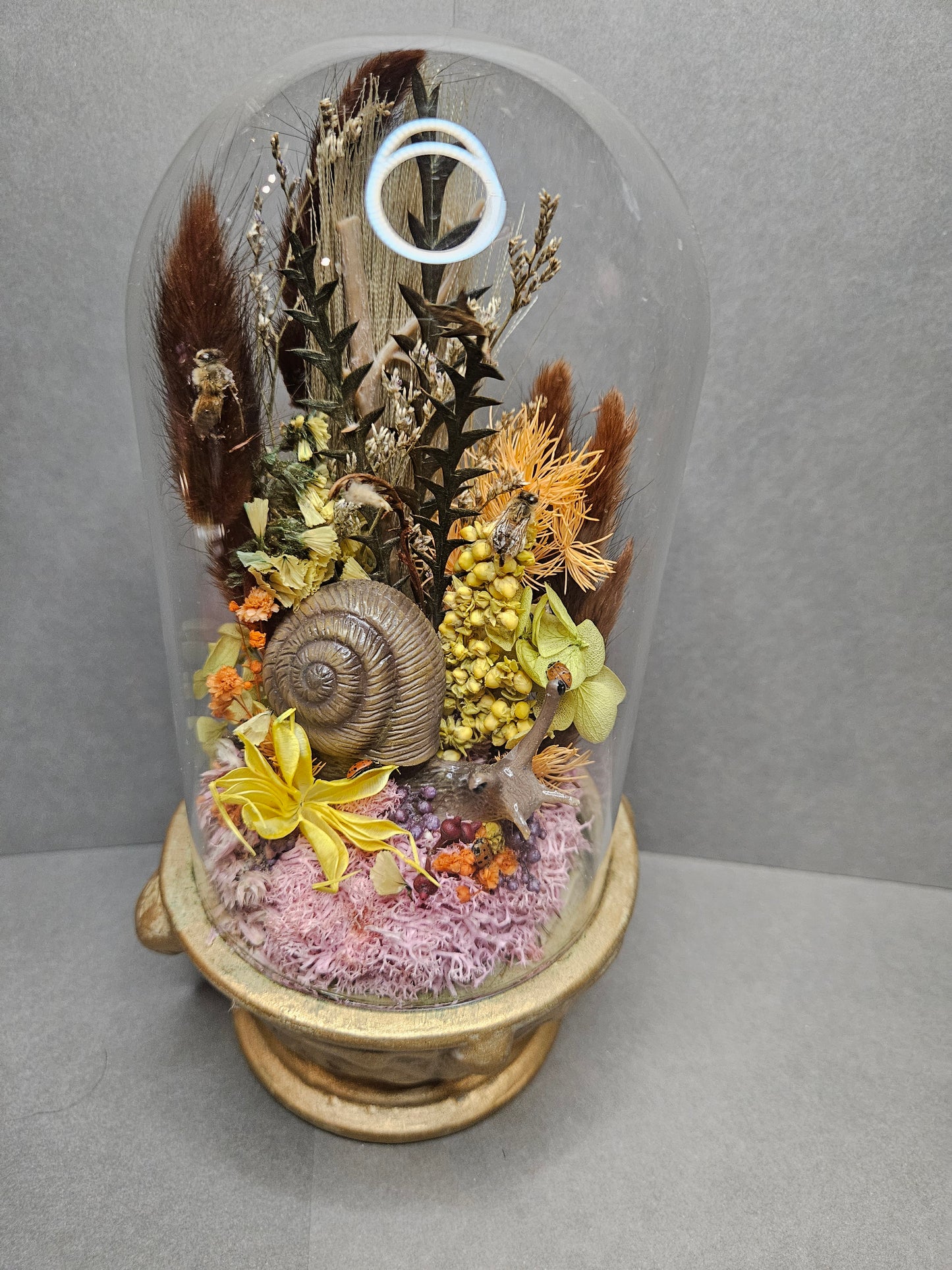 Gold Snail mini world