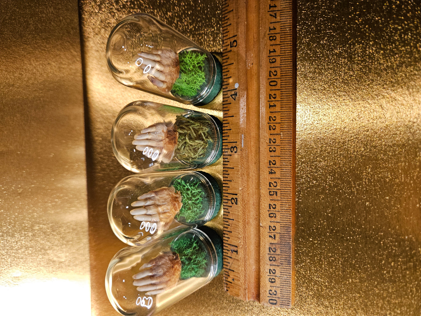 Green Mole feet large