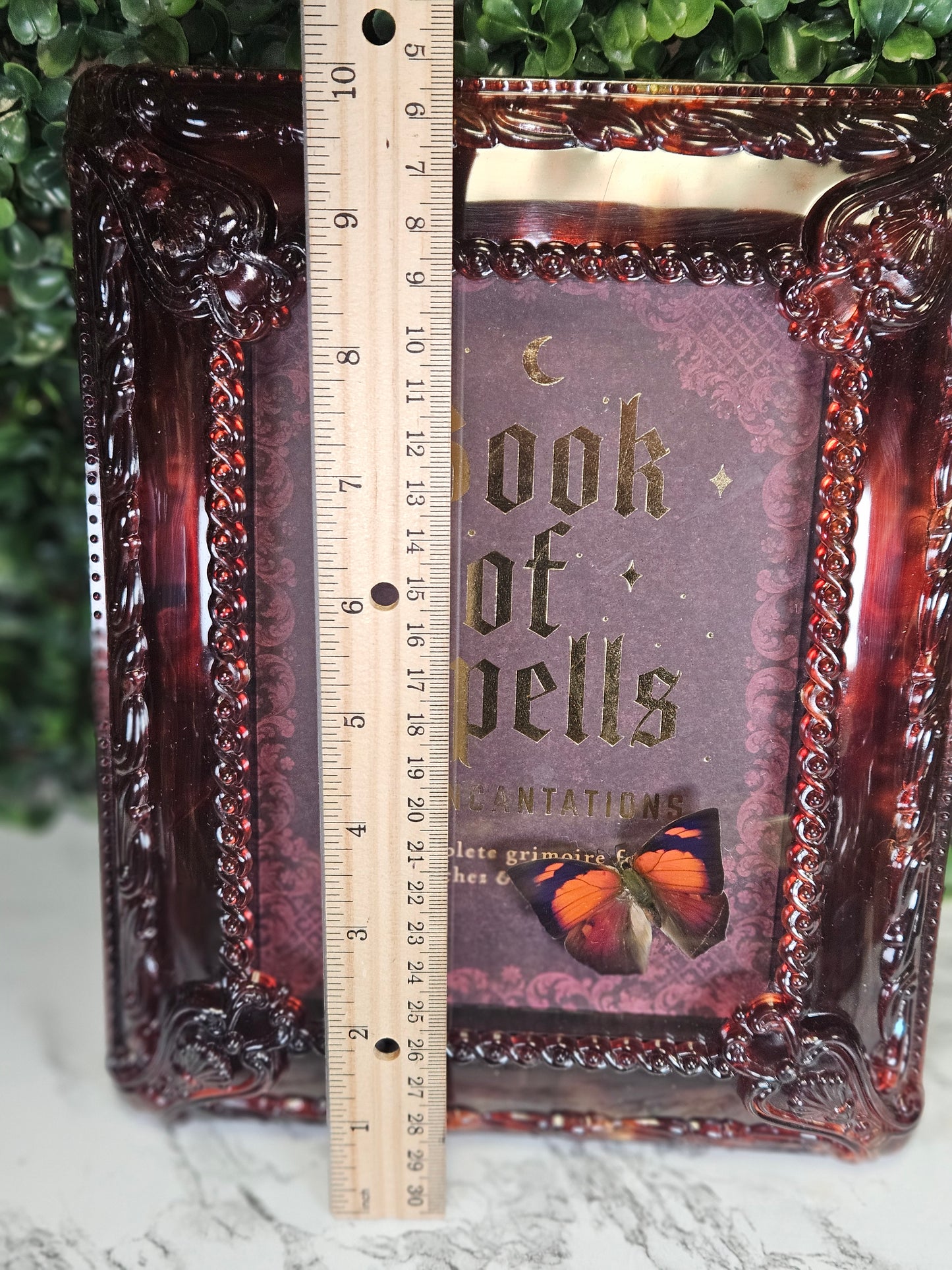 Book of Spells Anaea Butterfly ORNATE FRAME