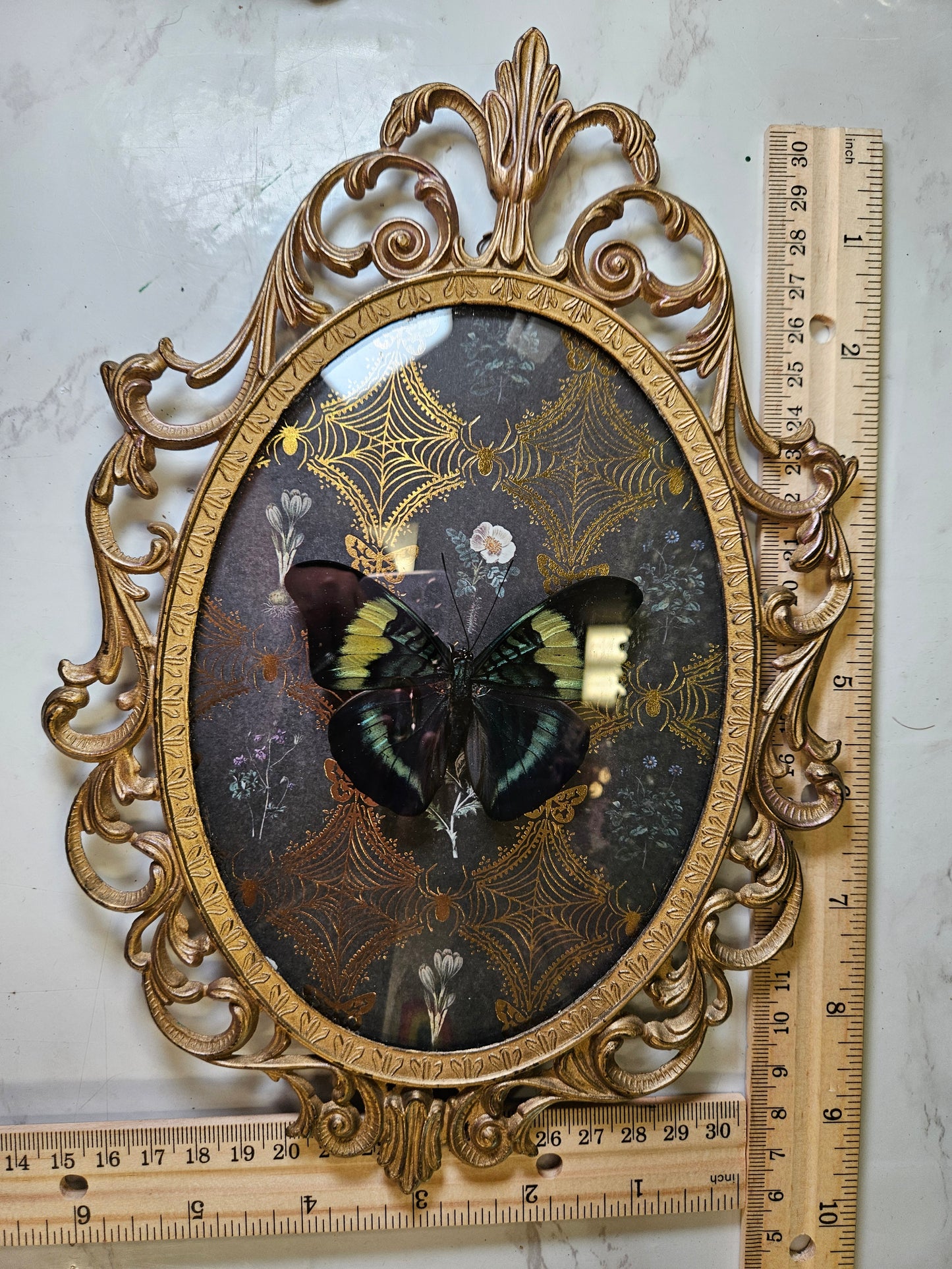 Vintage ornate gold medal blue butterfly - cameo frame