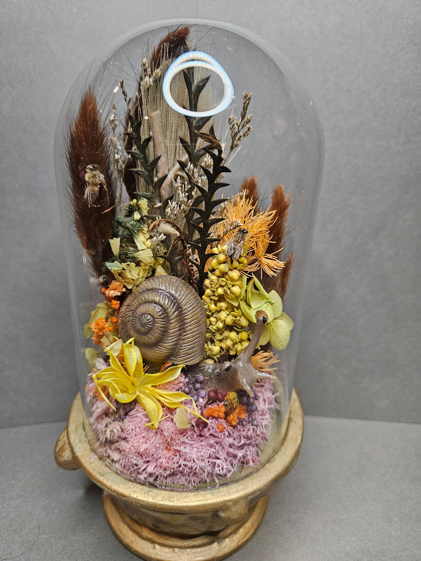 Gold Snail mini world