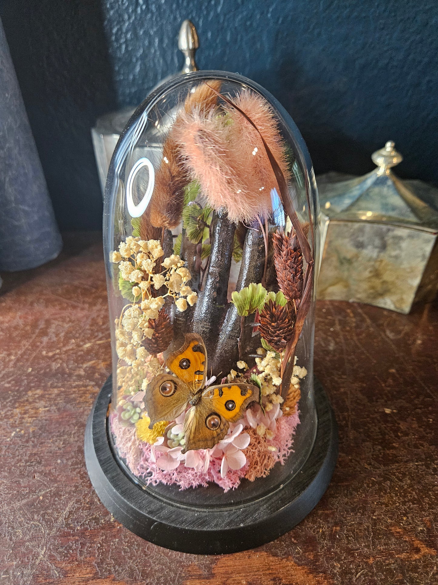 Cast iron butterfly dome