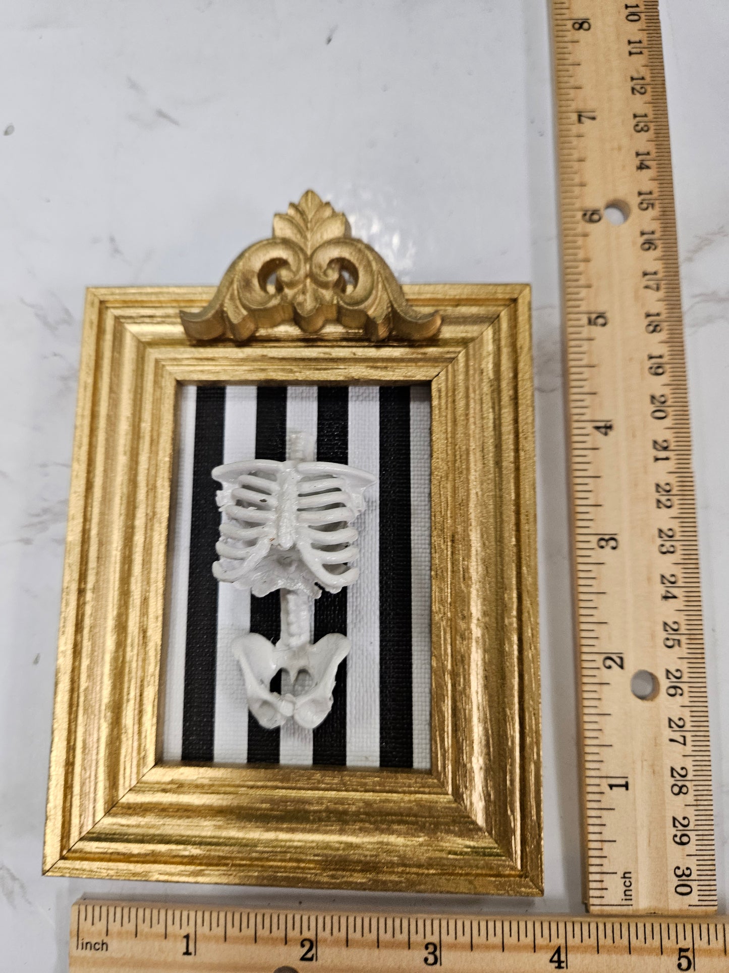 Gold frame striped skeleton torso