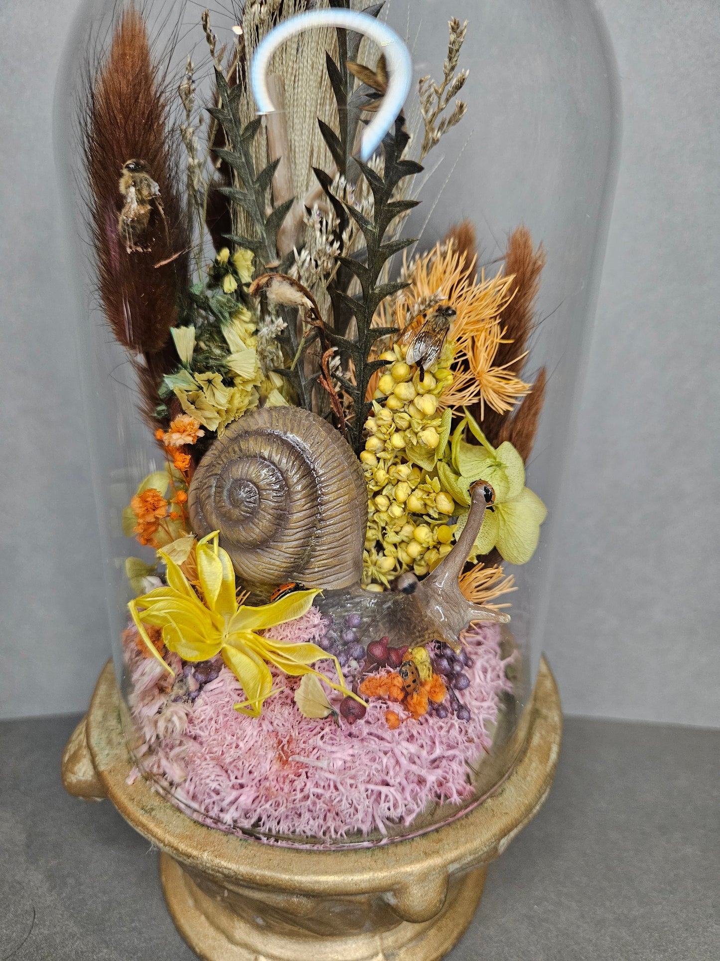 Gold Snail mini world