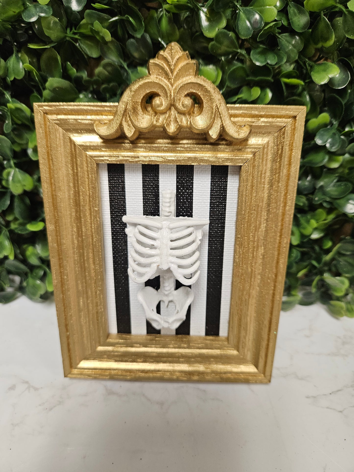 Gold frame striped skeleton torso