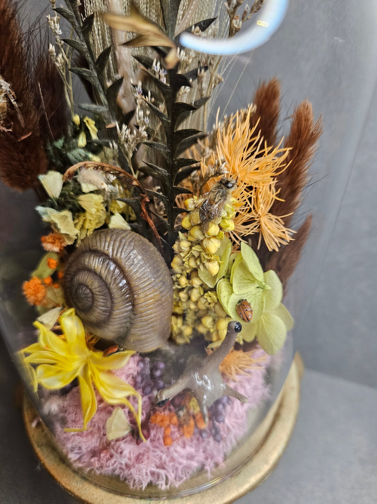Gold Snail mini world