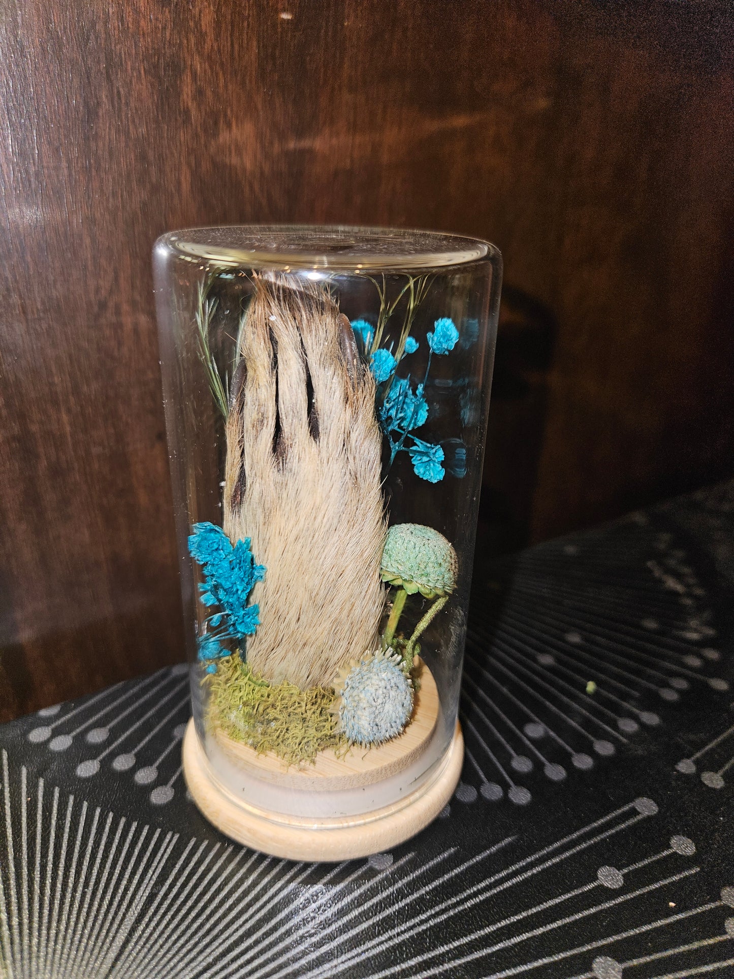 Raccoon paw jar - blue