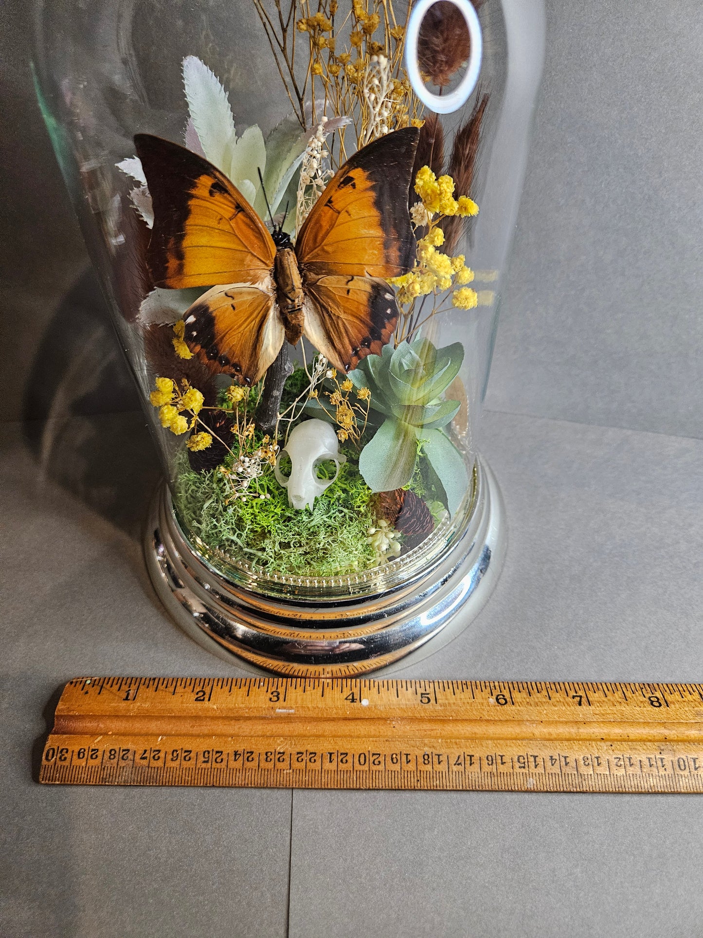 Brown butterfly mini cat skull cloche