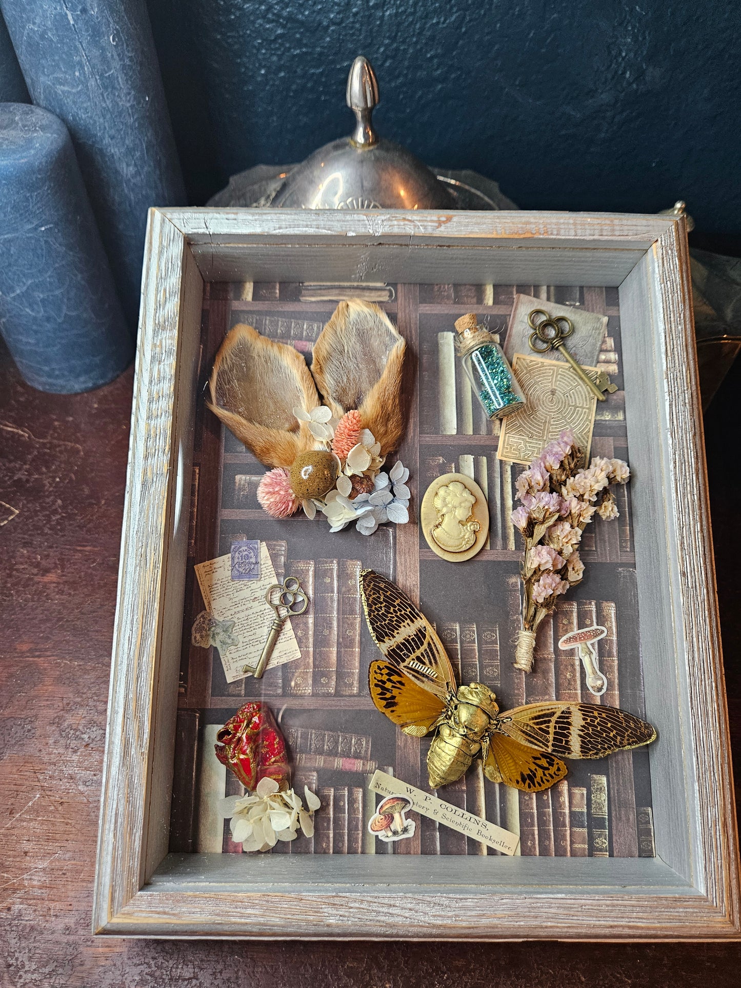 Alice in wonderland inspired shadow box - rabbit ears - cicada