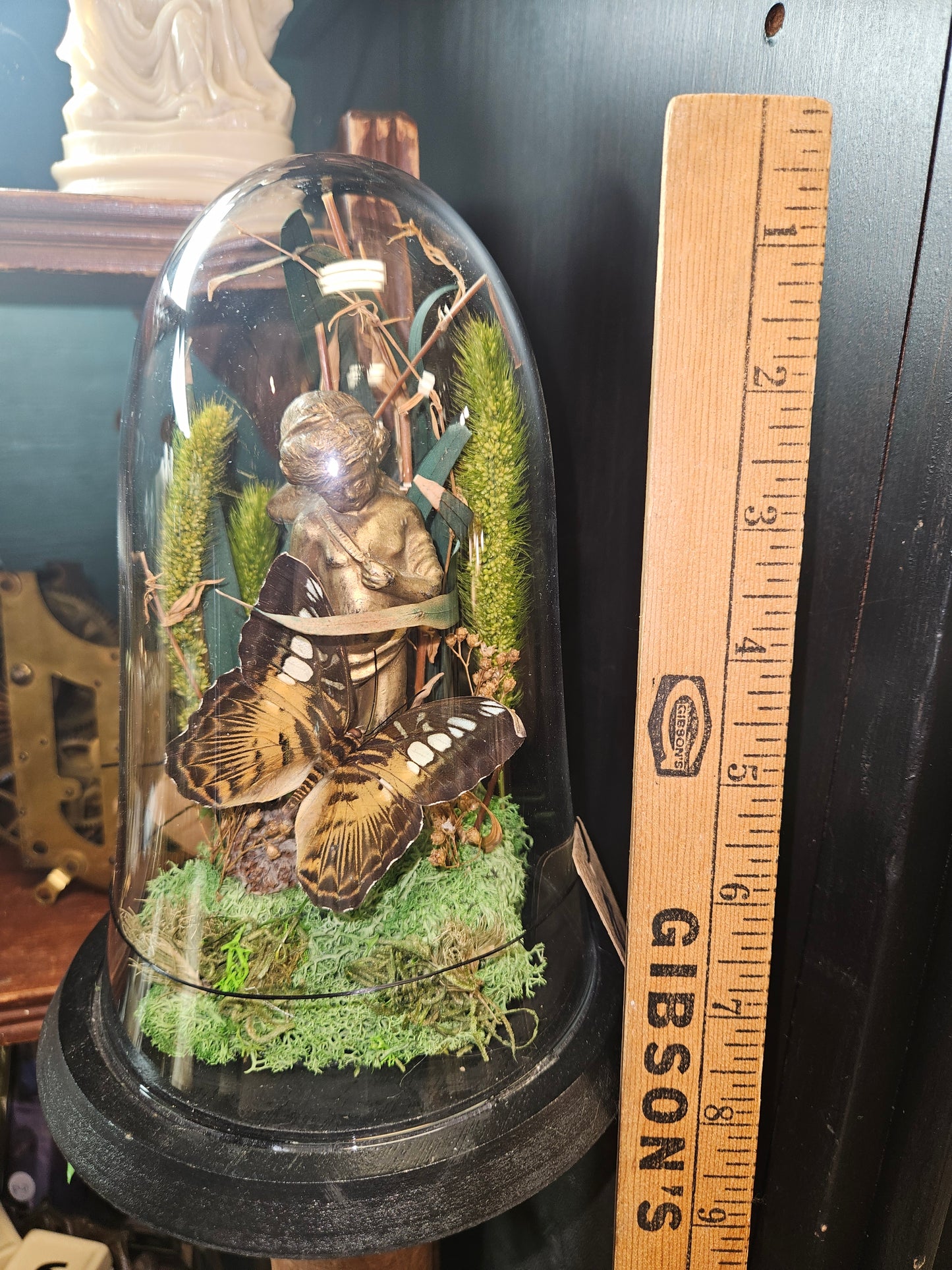 Green midnight swallowtail gold cherub mini world