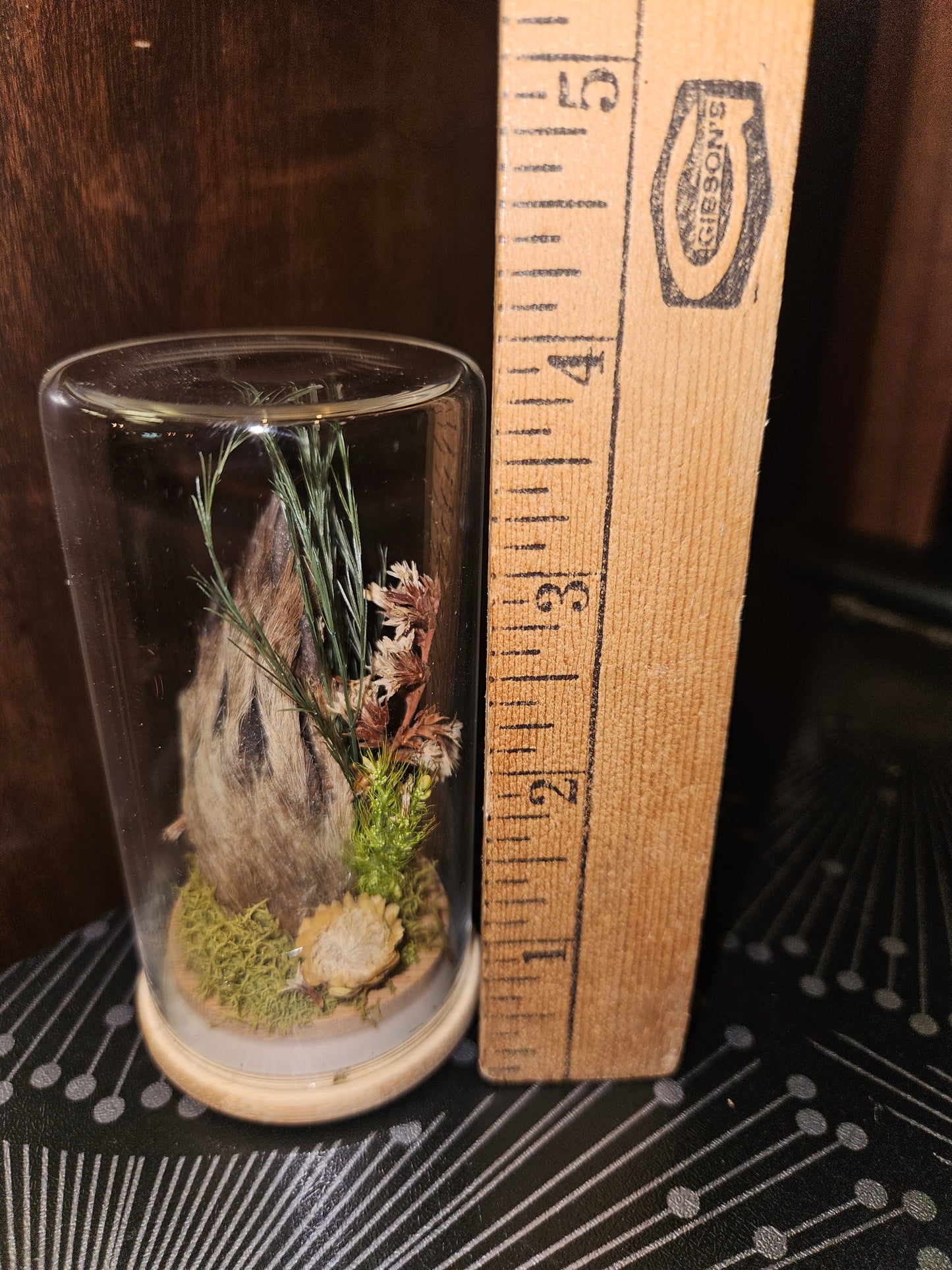 Raccoon paw jar - green