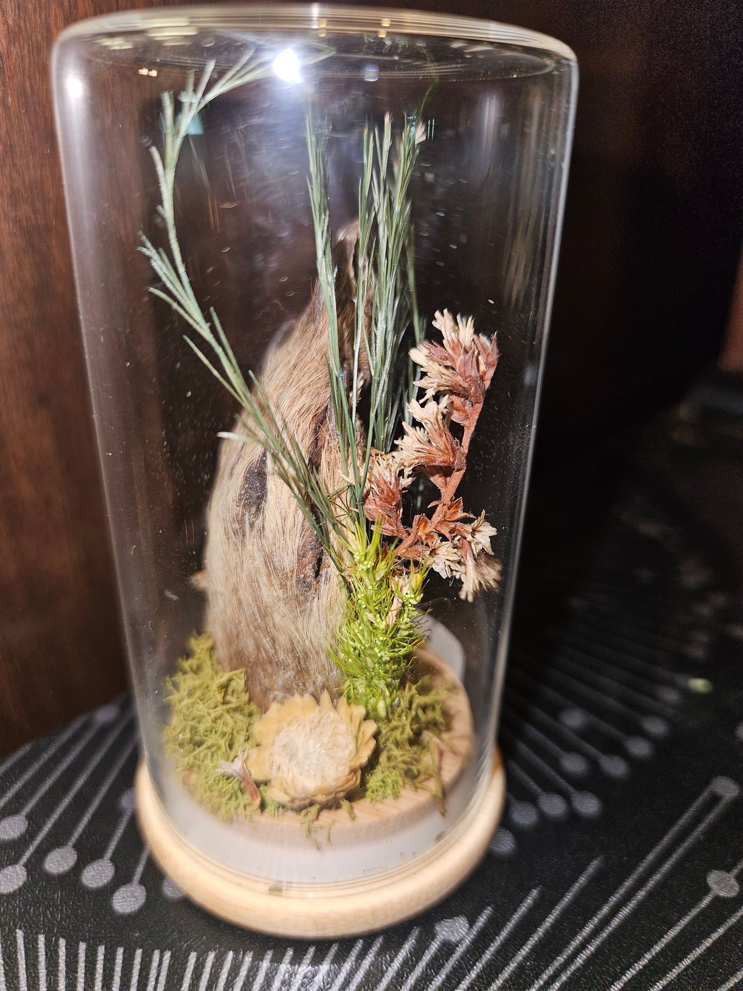 Raccoon paw jar - green