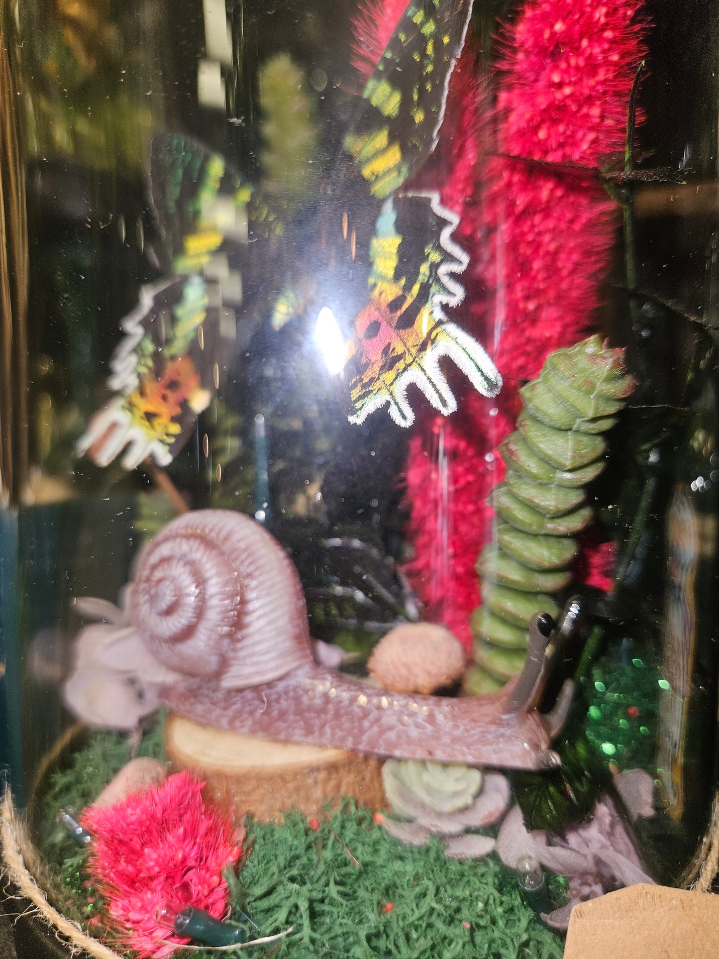 Madagascar moth snail light up mini world