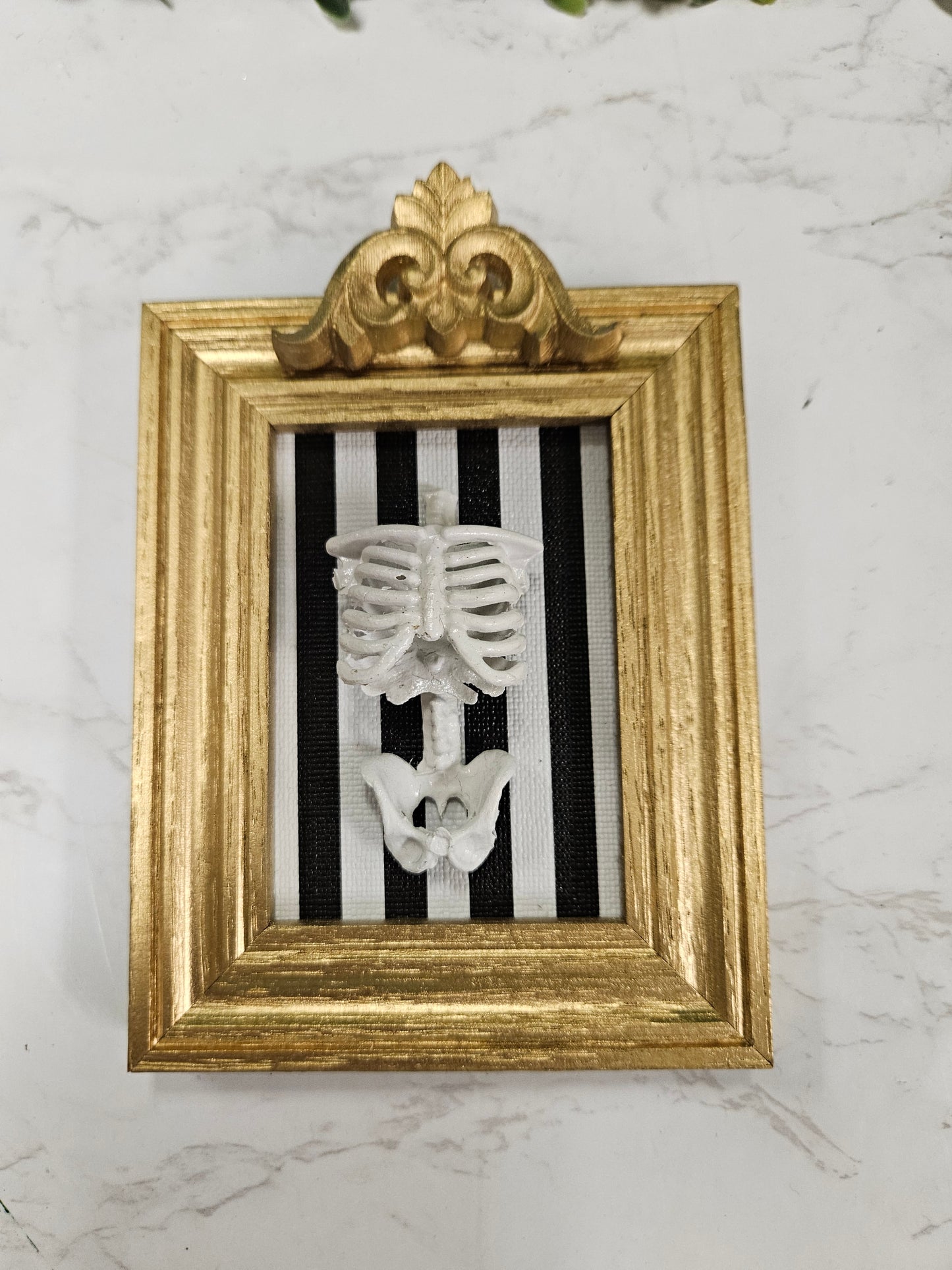 Gold frame striped skeleton torso