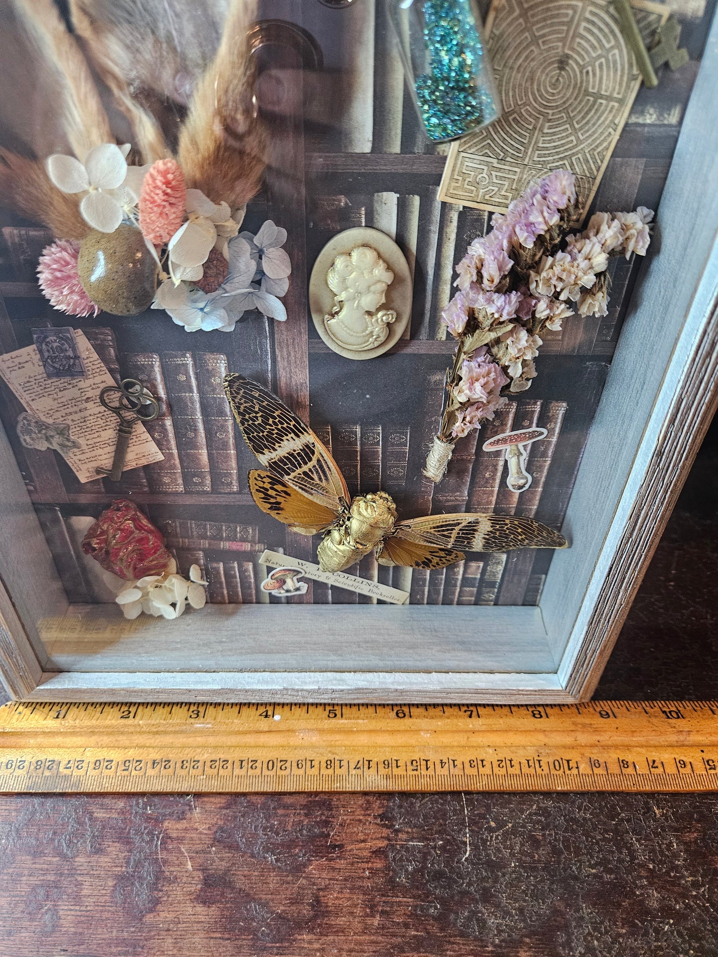 Alice in wonderland inspired shadow box - rabbit ears - cicada