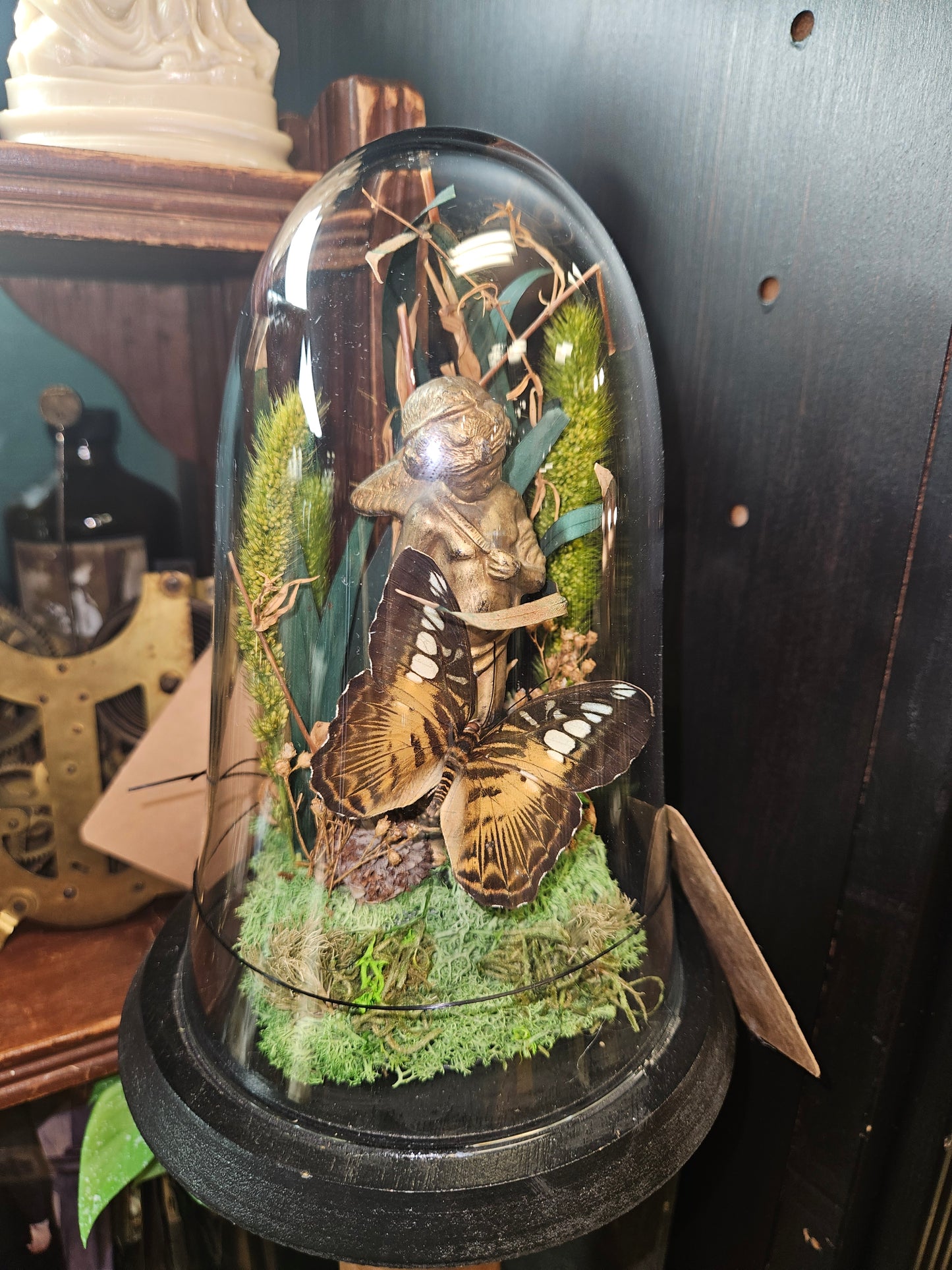 Green midnight swallowtail gold cherub mini world