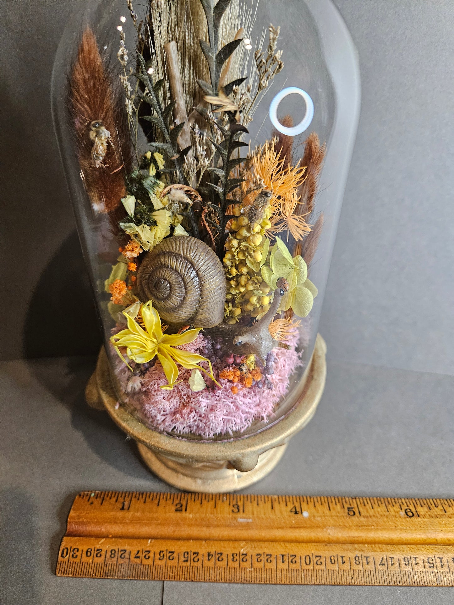 Gold Snail mini world
