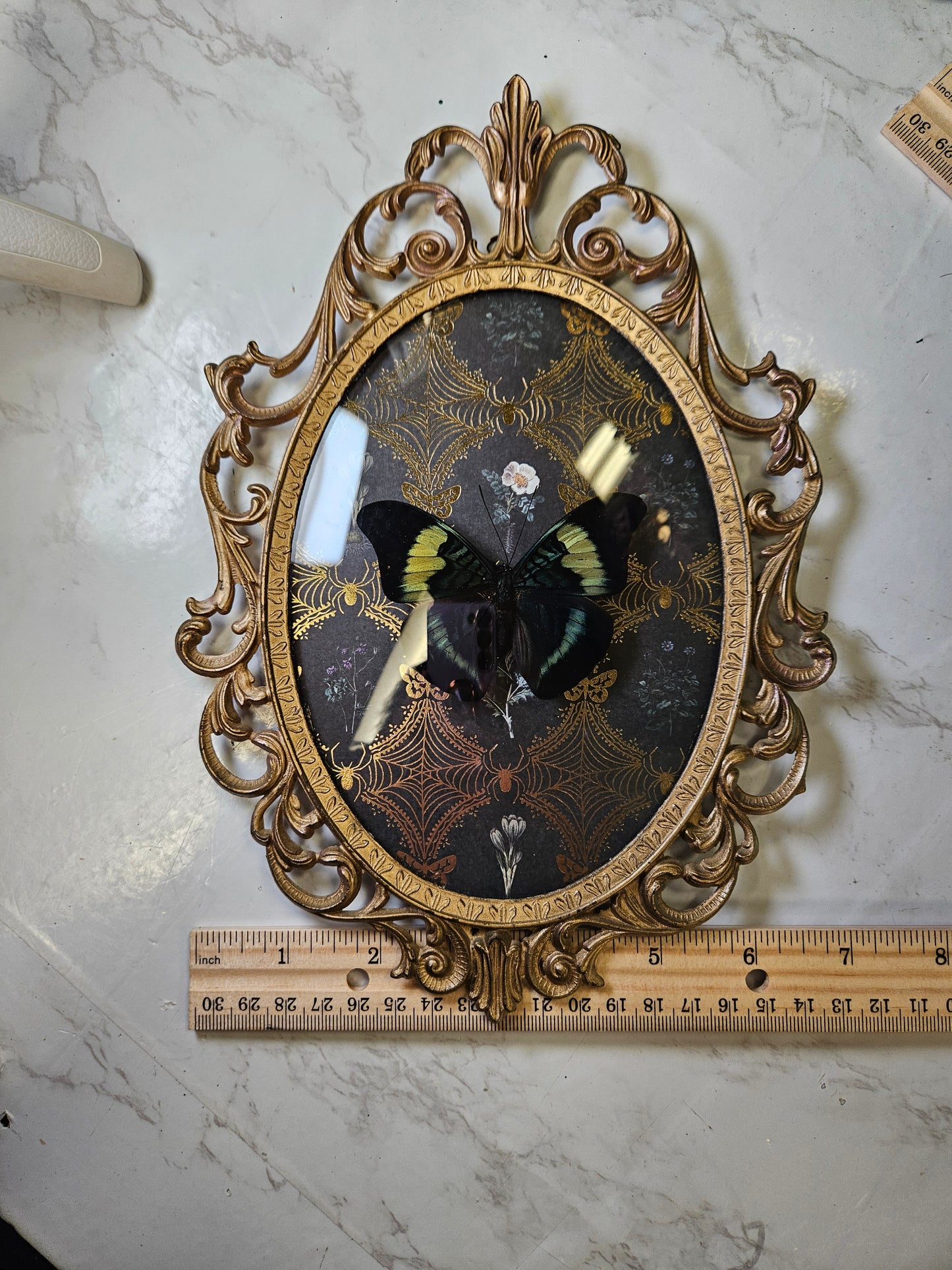 Vintage ornate gold medal blue butterfly - cameo frame