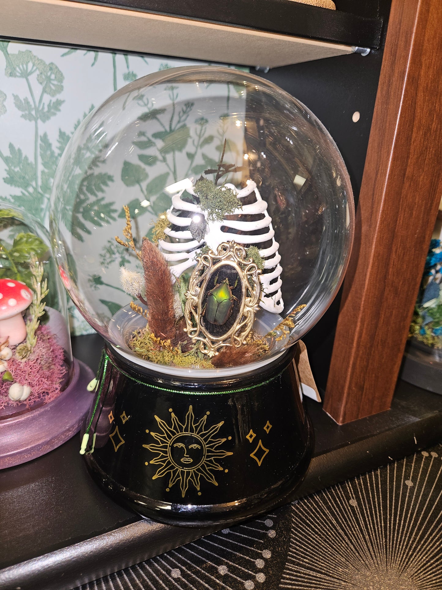 Beetle ribcage crystal ball mini world cloche