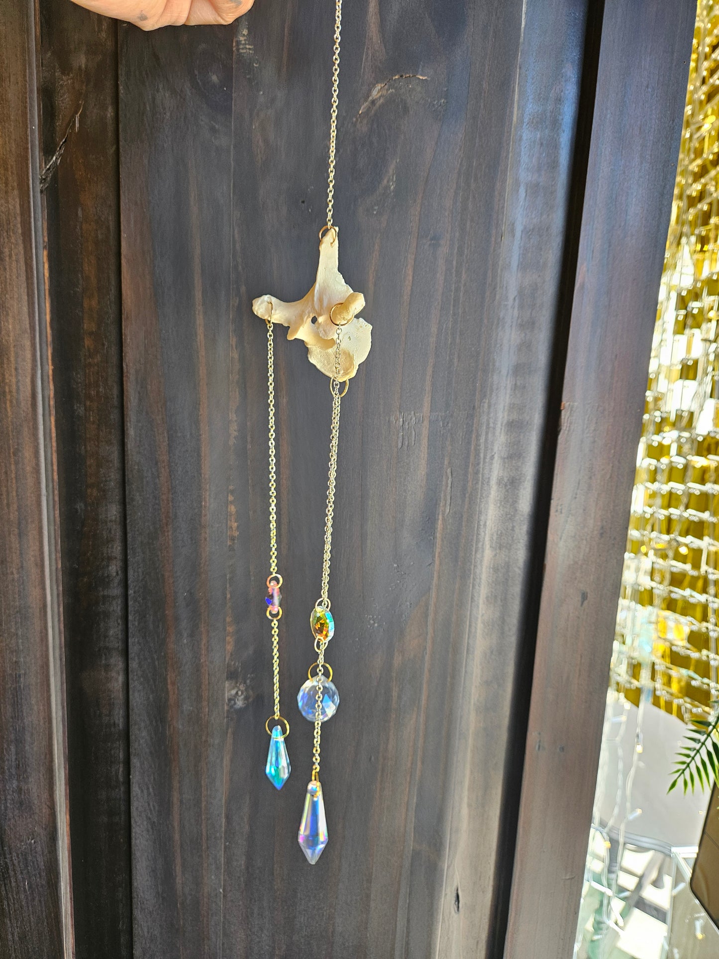 Human Vertebrae sun catcher