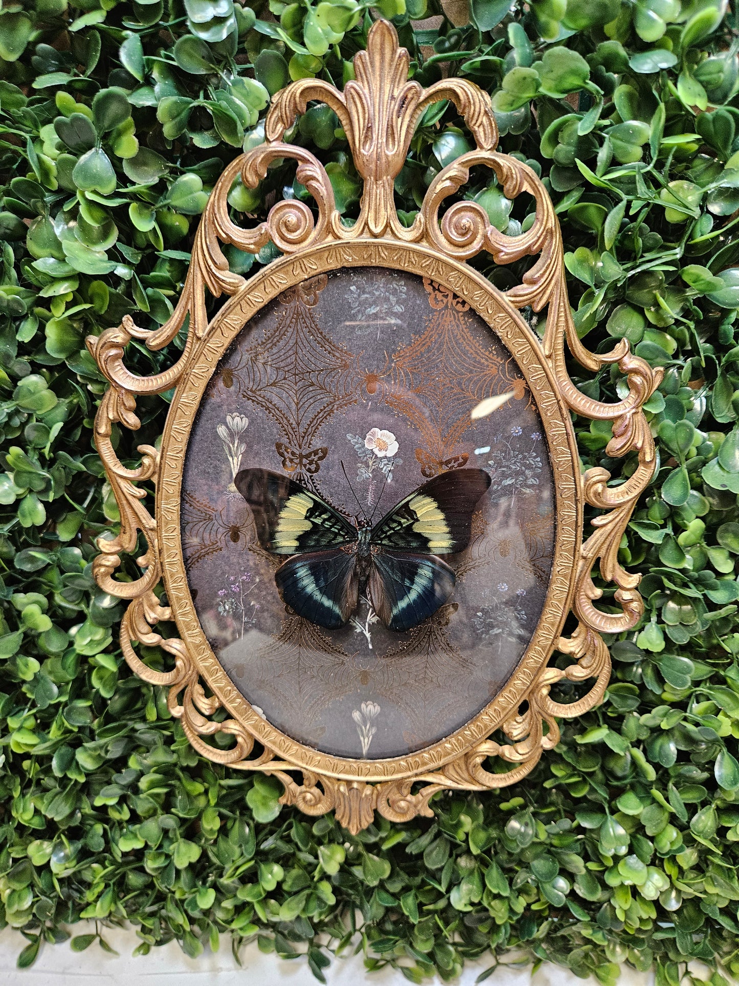 Vintage ornate gold medal blue butterfly - cameo frame