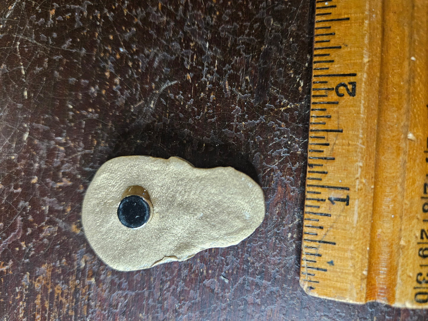 Gold skull magnet (1)