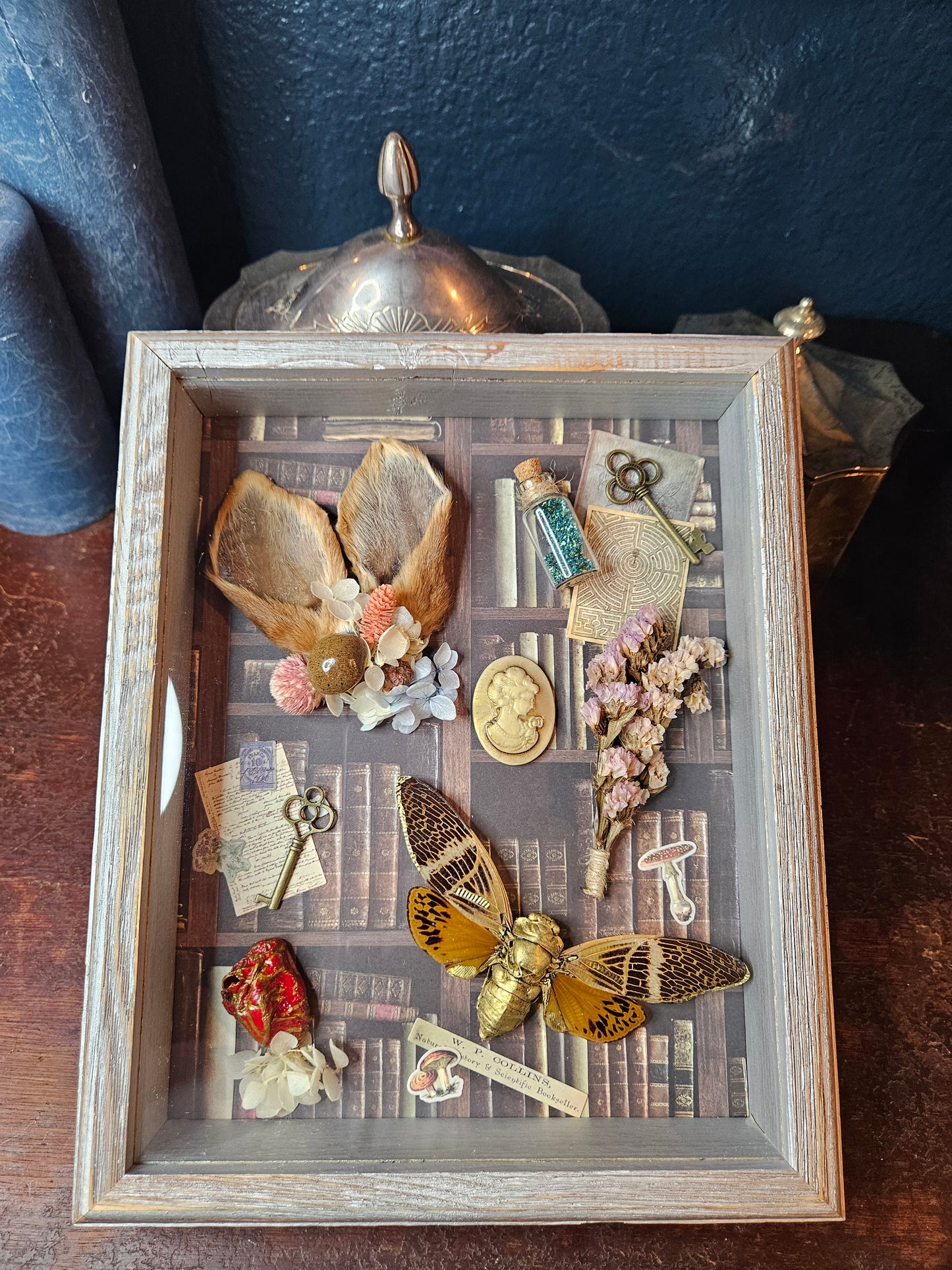 Alice in wonderland inspired shadow box - rabbit ears - cicada