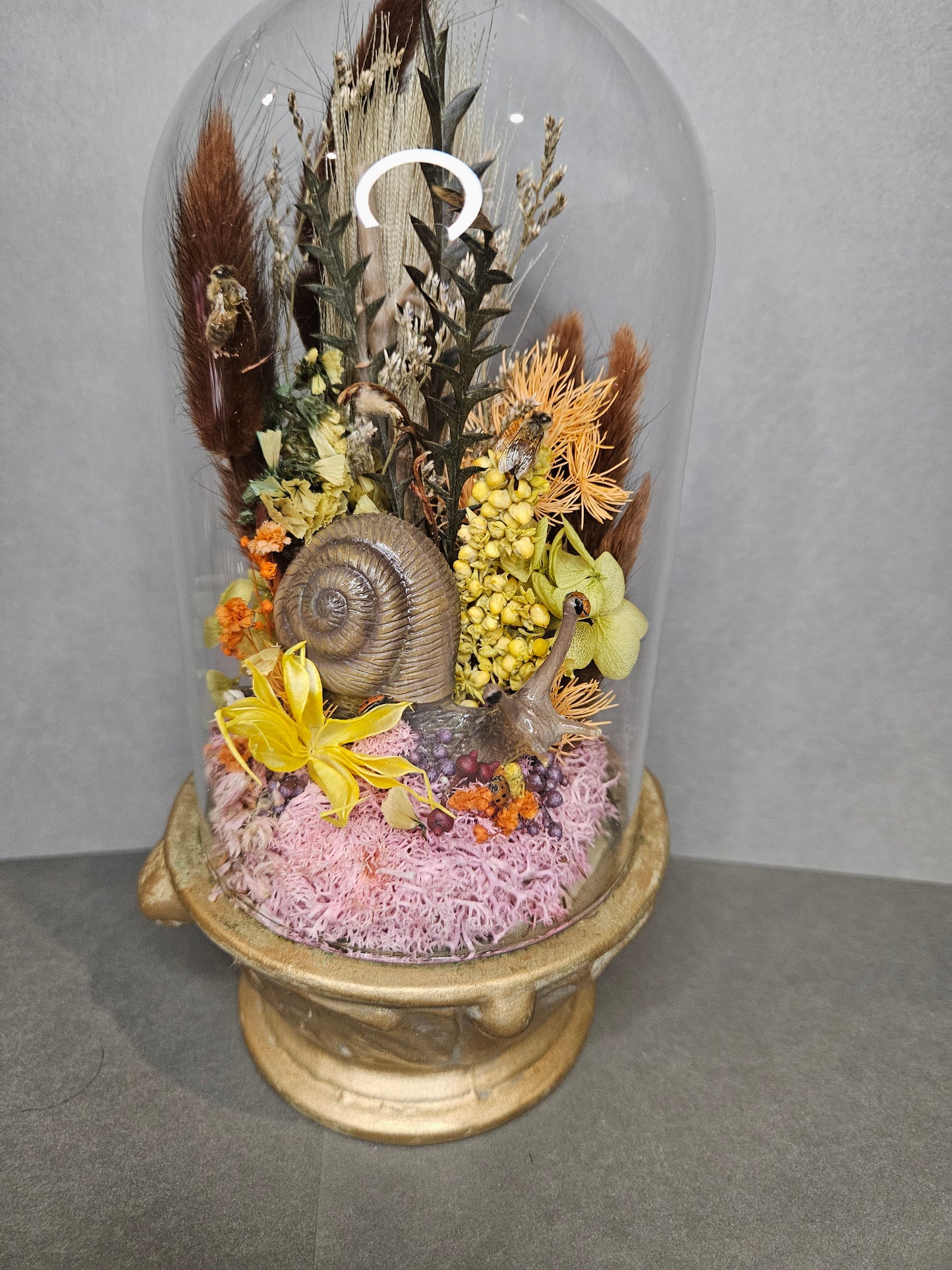 Gold Snail mini world