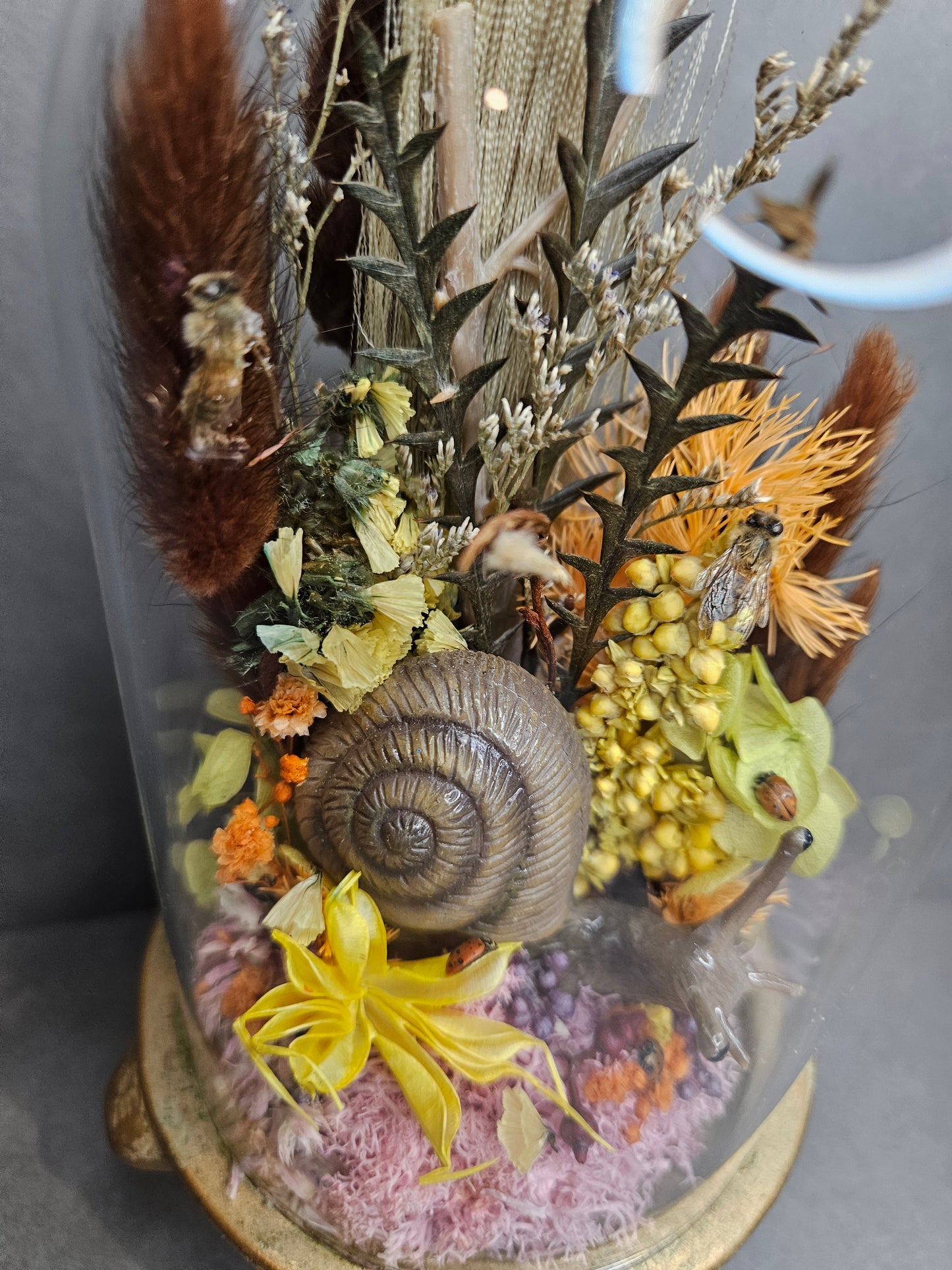 Gold Snail mini world