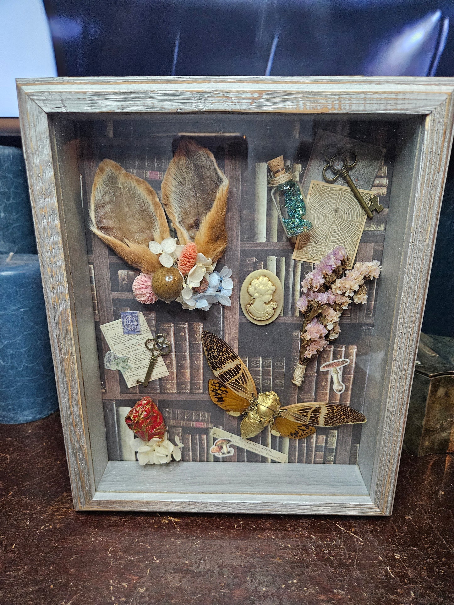 Alice in wonderland inspired shadow box - rabbit ears - cicada