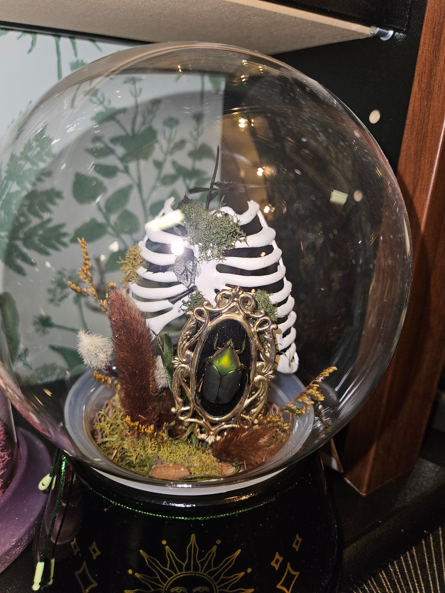 Beetle ribcage crystal ball mini world cloche