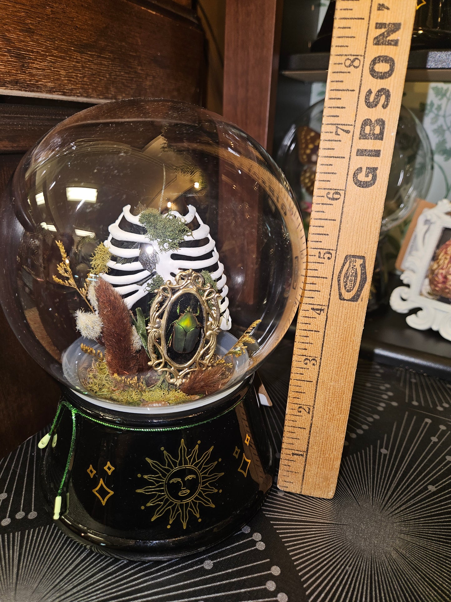 Beetle ribcage crystal ball mini world cloche