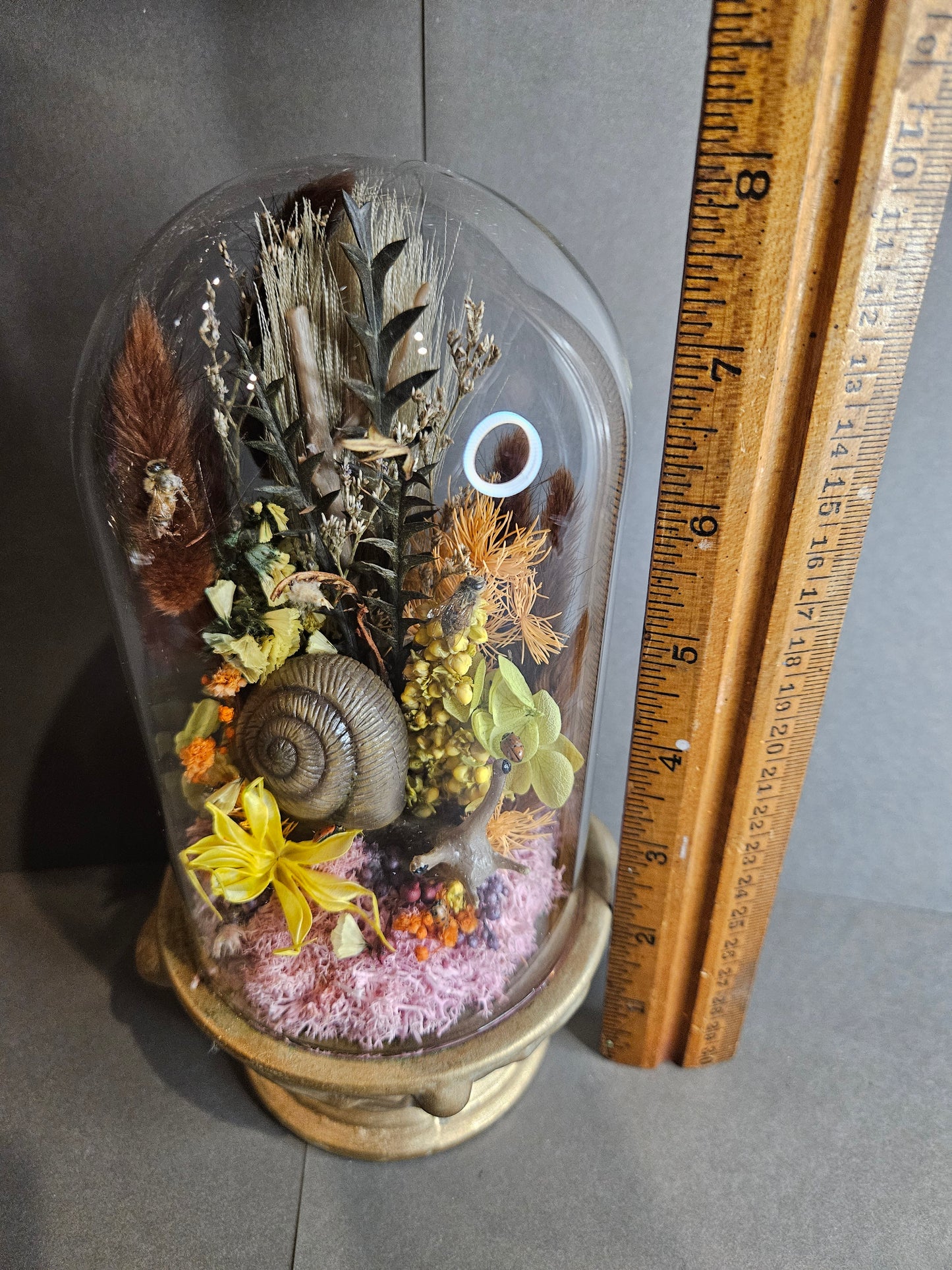 Gold Snail mini world