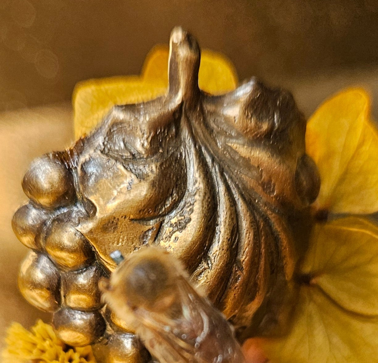 Brass grape - bee mini world