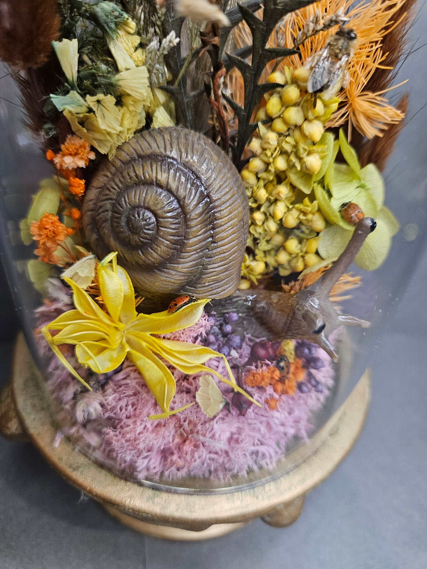 Gold Snail mini world