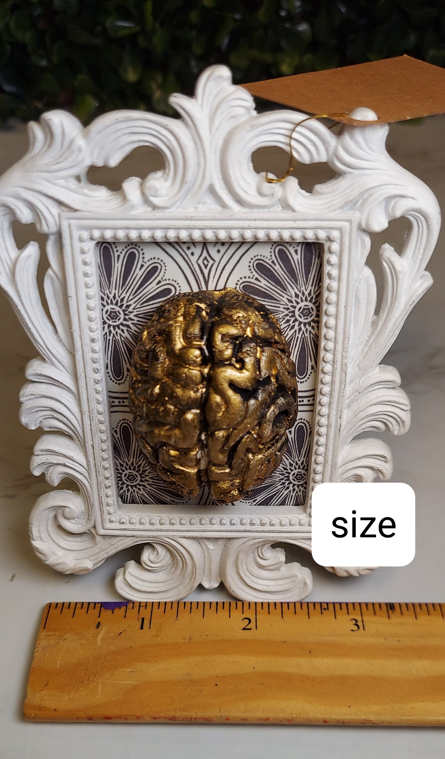 Blue & Gold Brain Frame