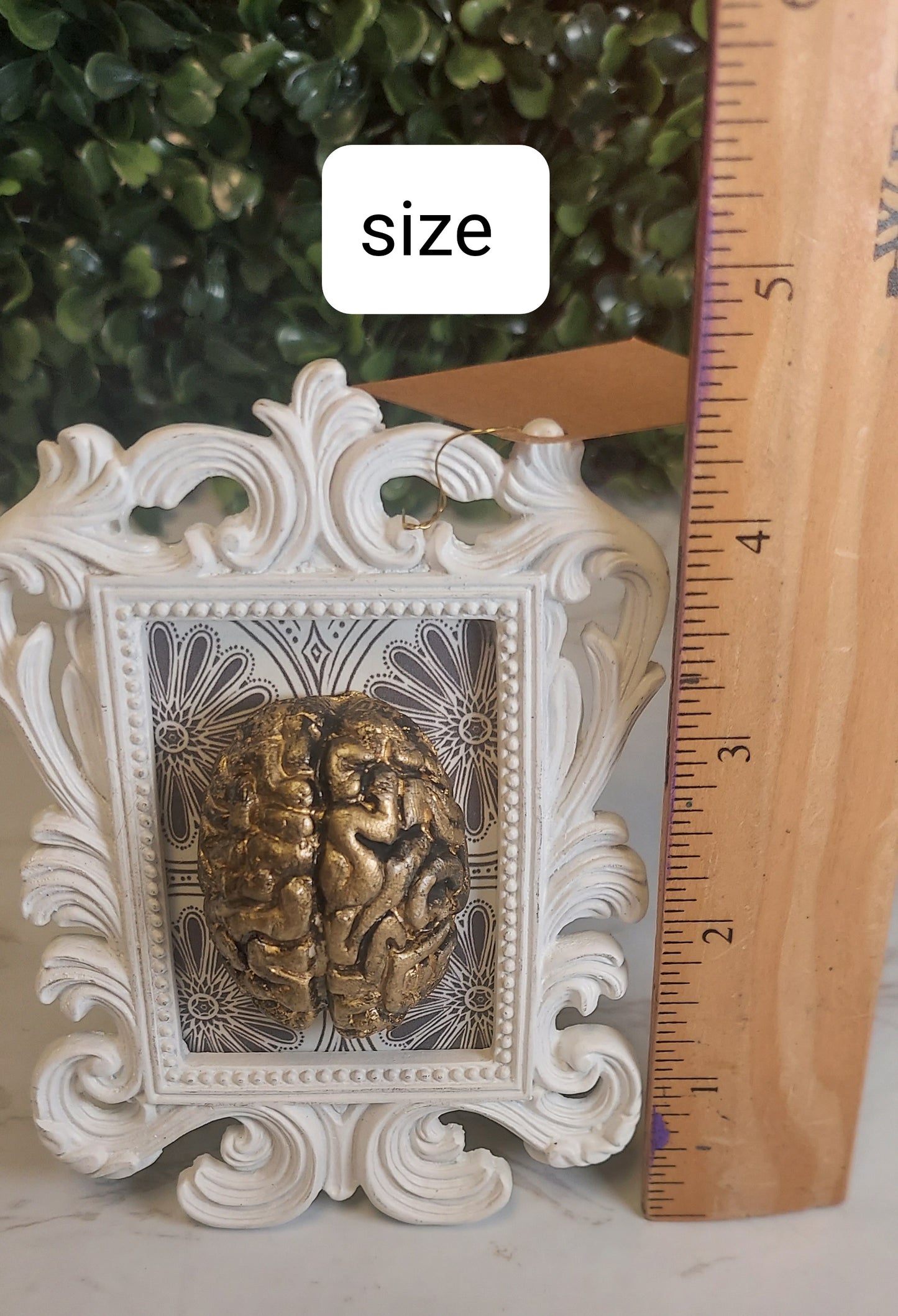 Blue & Gold Brain Frame