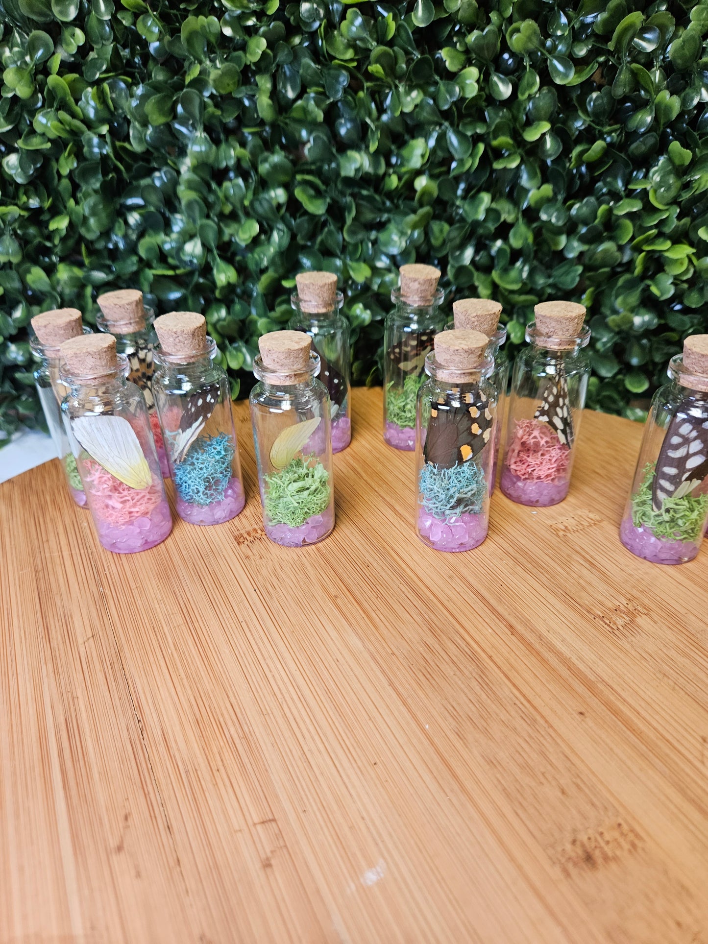 Butterfly wing jar - pink glow in the dark