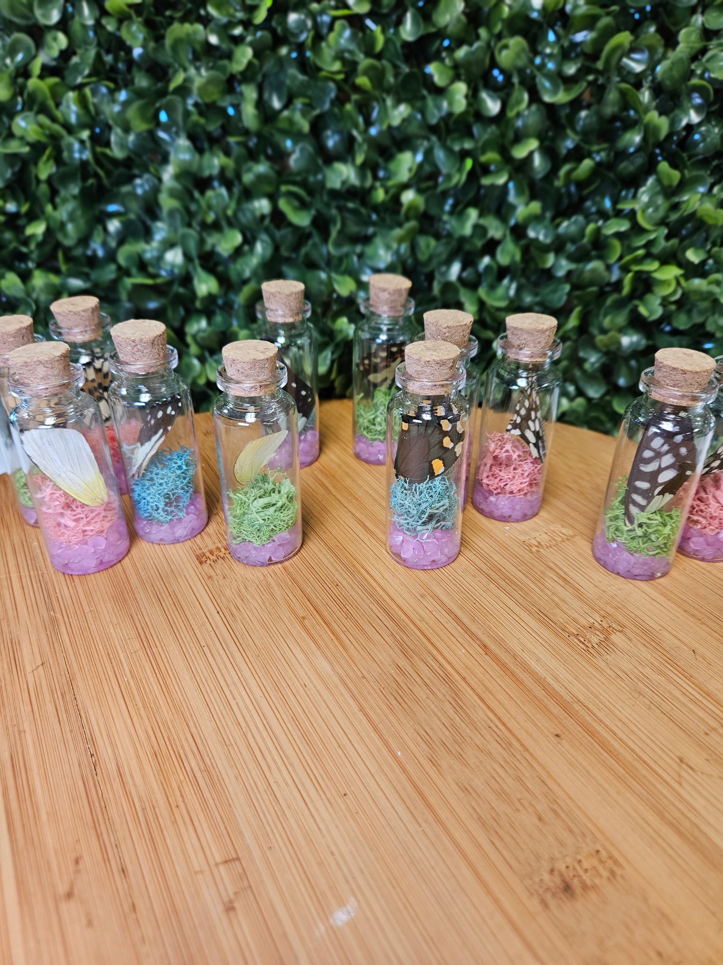 Butterfly wing jar - pink glow in the dark