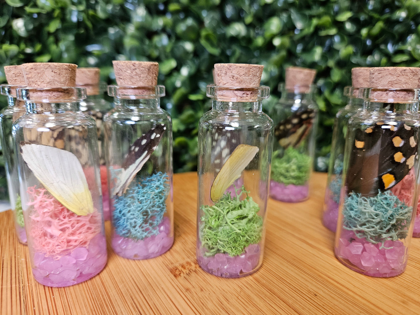 Butterfly wing jar - pink glow in the dark