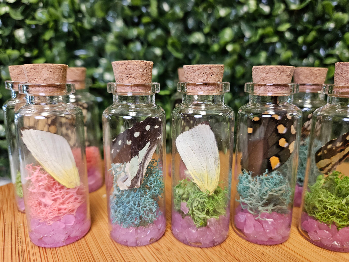 Butterfly wing jar - pink glow in the dark